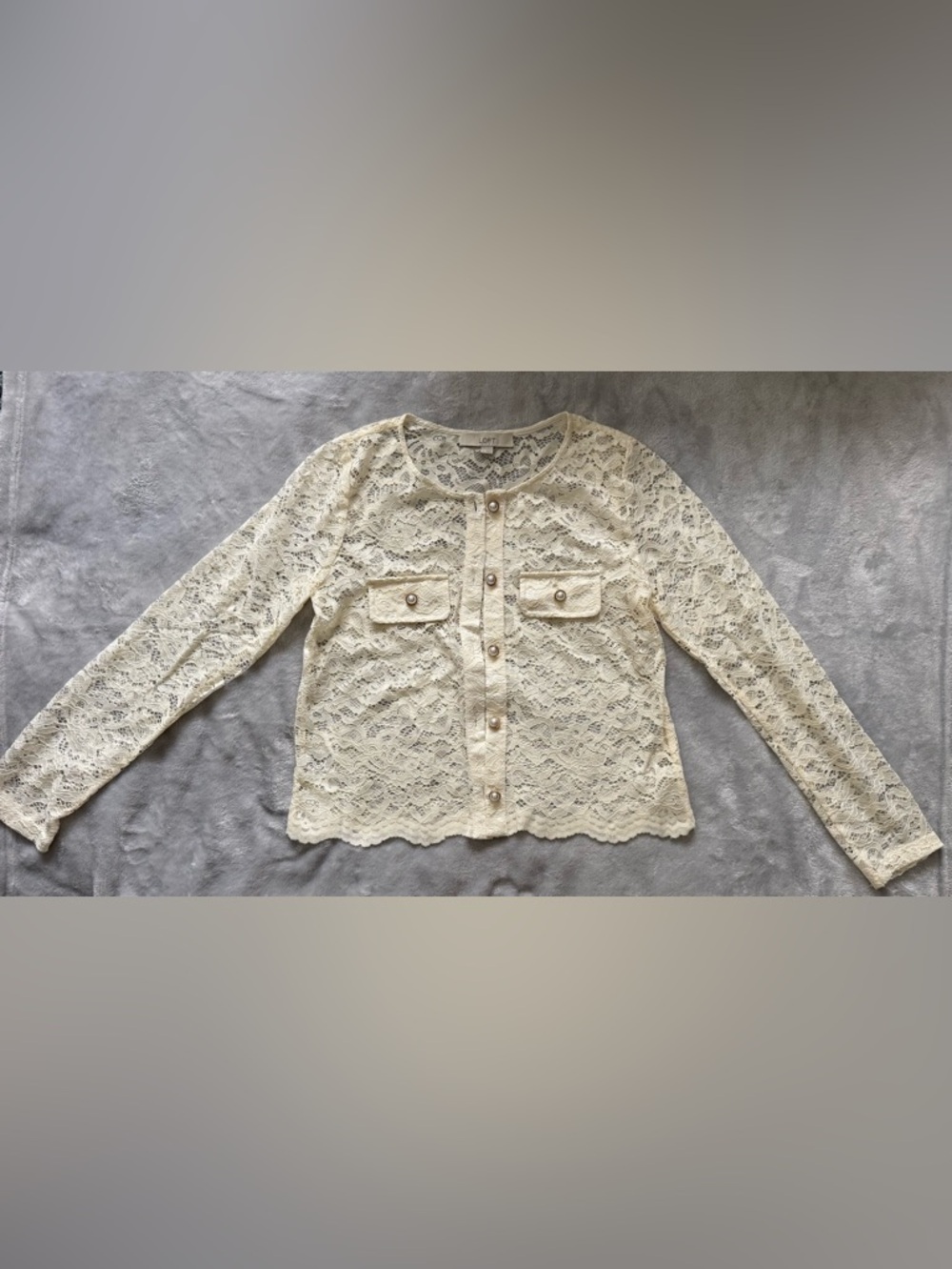 LOFT Lace Button-Front Top in Ivory